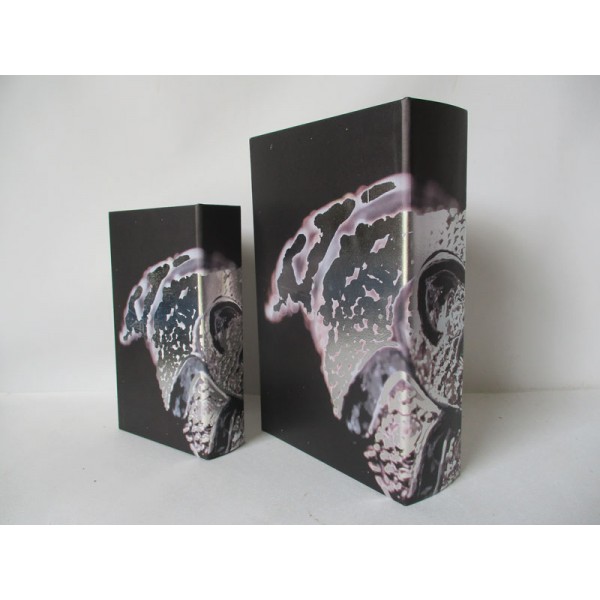 LUXURY 2LI KITAP KUTU SETI 27X18 , 21X13 CM