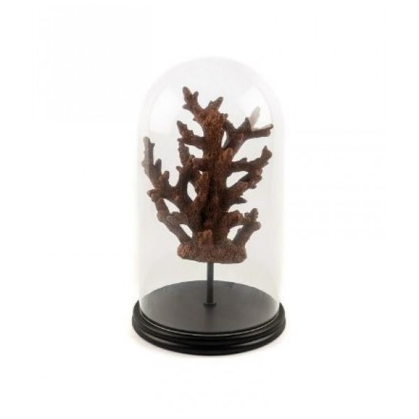 AHSAP STANDLI MERCAN TURUNCU YUVARLAK CAM FANUS 22x38cm